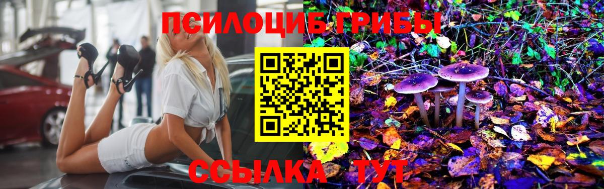 Галлюциногенные грибы прущие грибы Еманжелинск